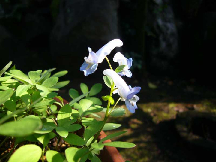 P1040336