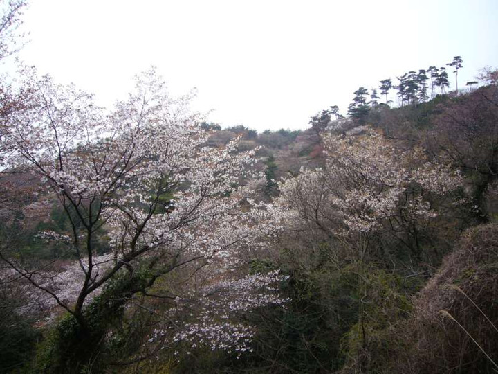 P1040960