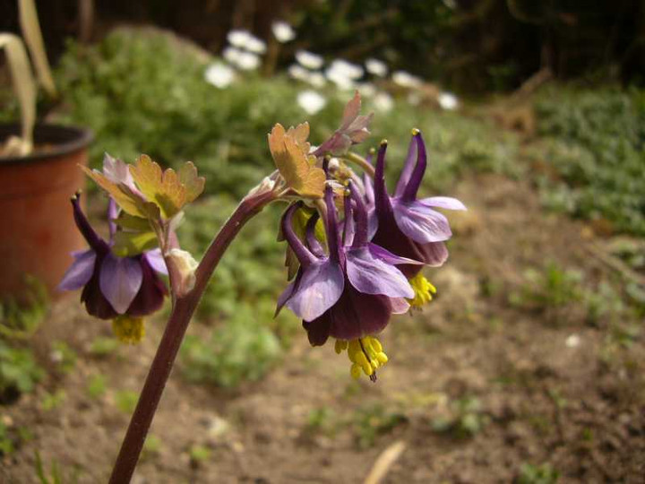 P1050049