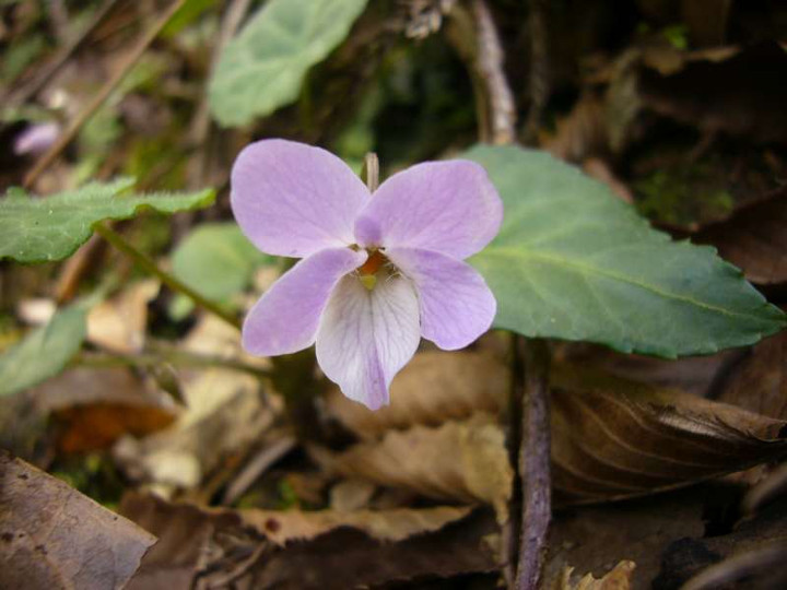 P1050149
