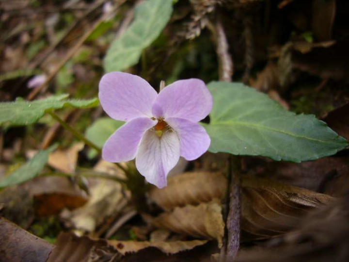 P1050151