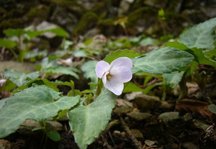 P1050173