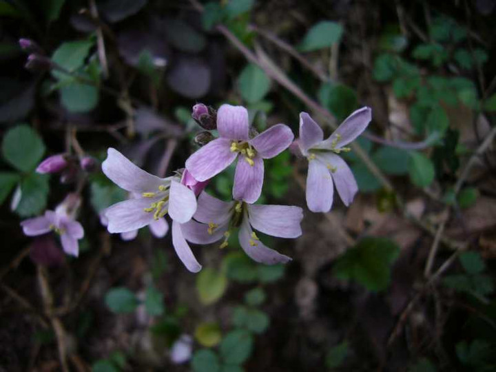 P1050327