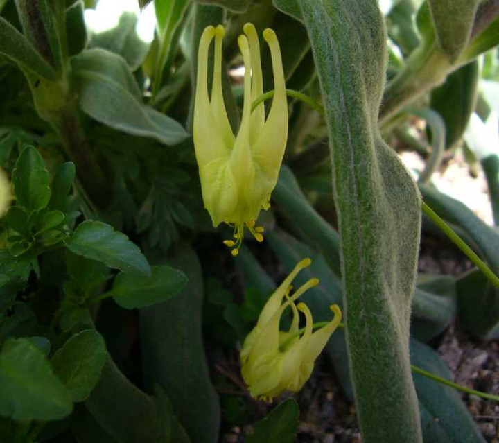 P1050423