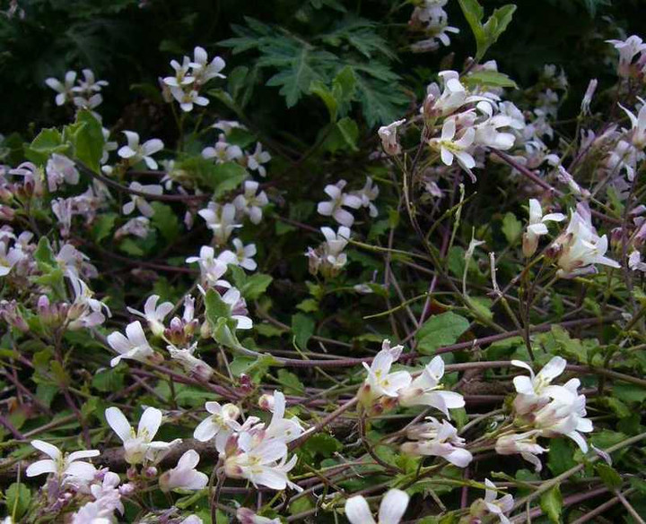 P1050496