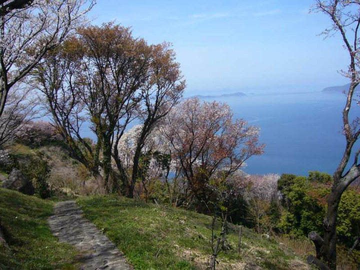 P1050570