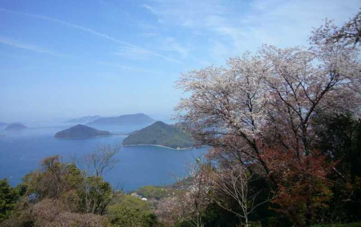 P1050578