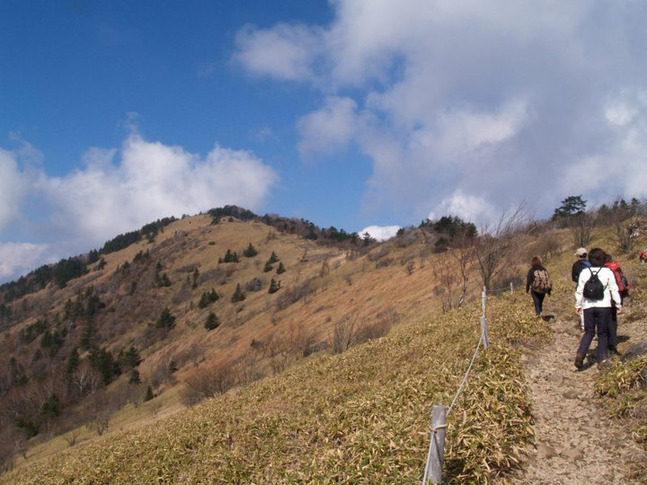 Photo_2