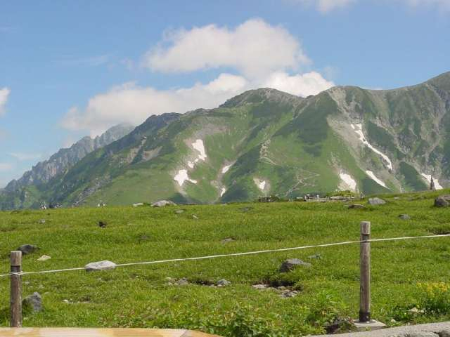 turugi