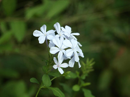P9054296
