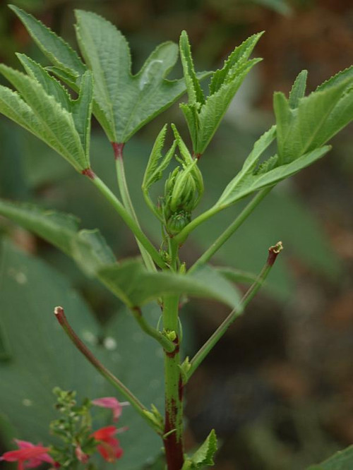 P9054359
