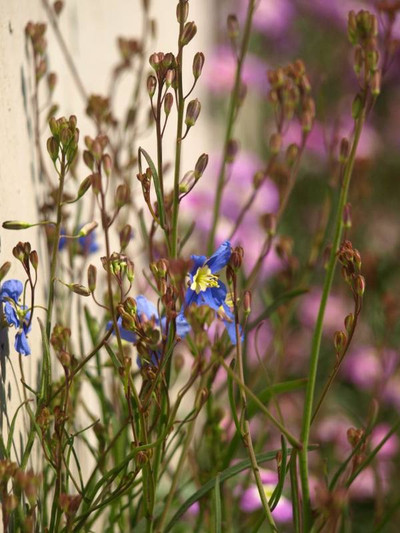 P3035045