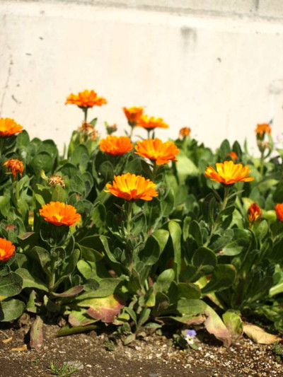 P3035075