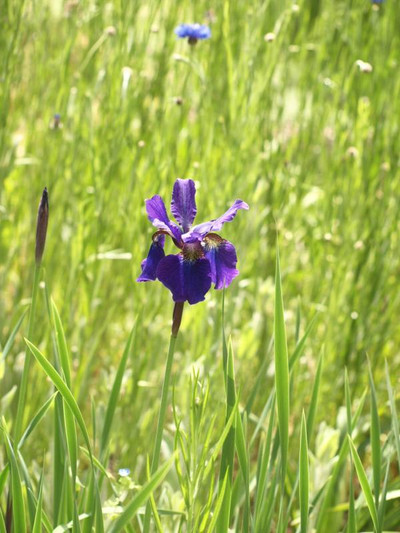 P5045996