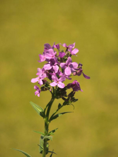 P5056830