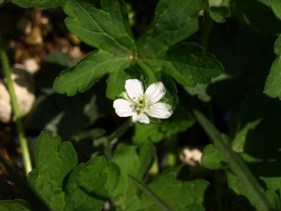 P5056876