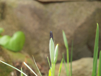P6069130