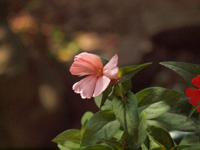 P6069150