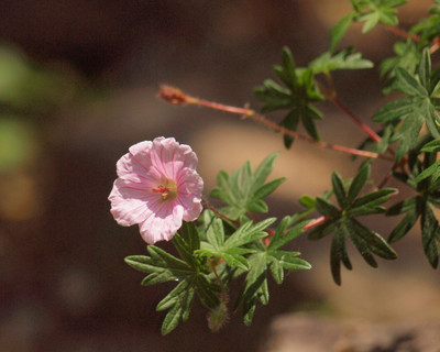 P6069168