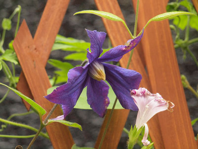 P7072261
