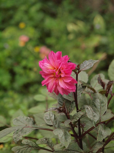 P7072277