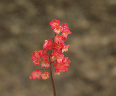 P7072278