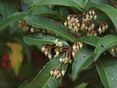 P7092341