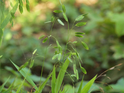 P7092354