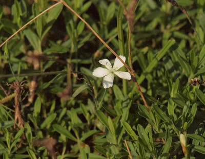 P7102379