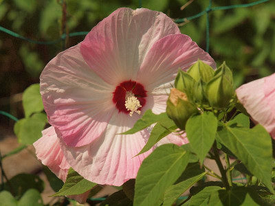 P7102383