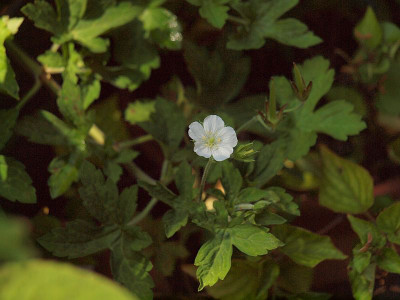 P7102386