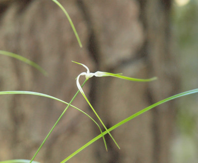P7184971