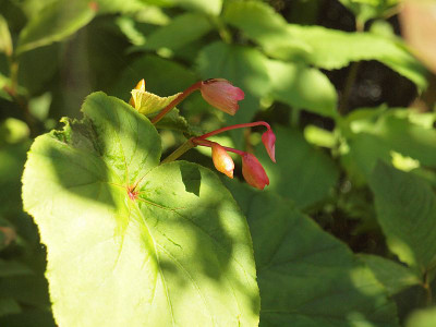 P7184981