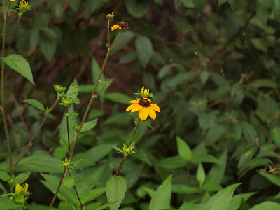 P7225607