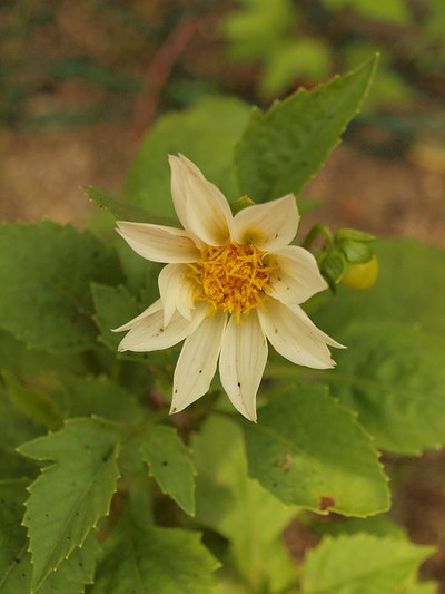 P7225614