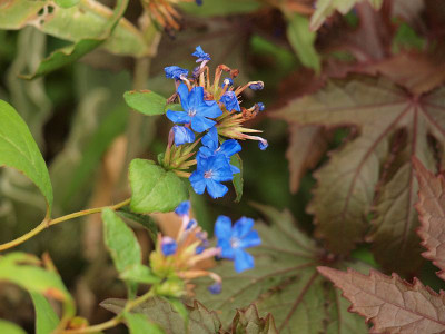 P8065982