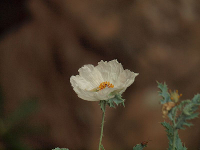 P8065985
