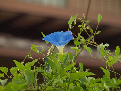P8065998
