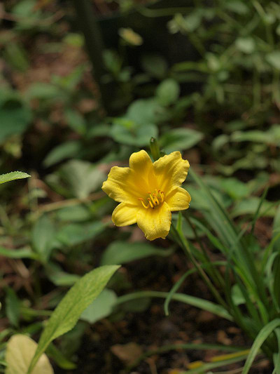 P7028292