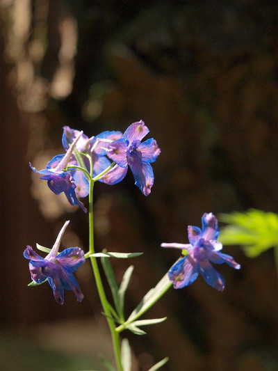 P7028302