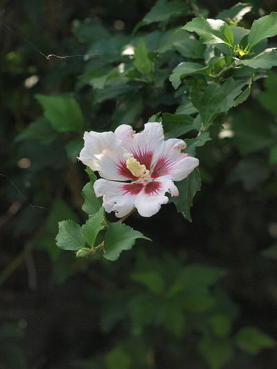 P7028310