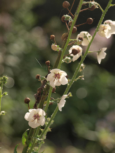 P7028311