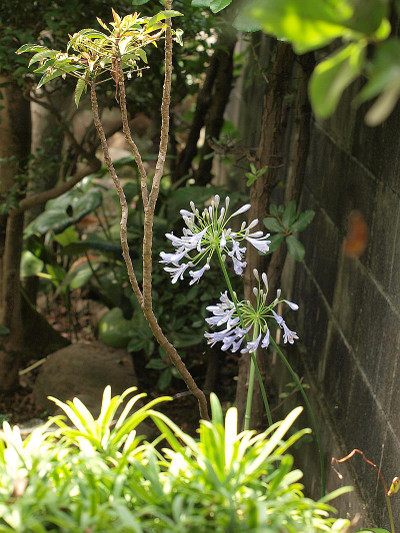 P7028316