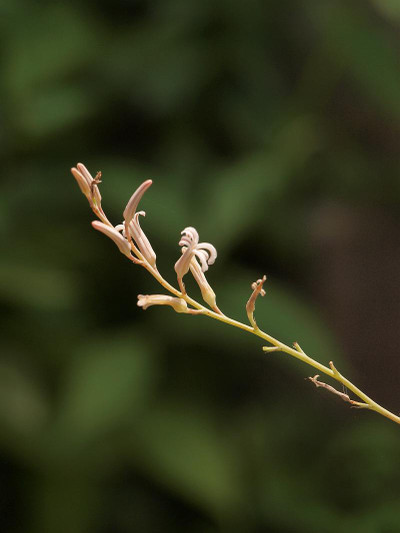 P7028321