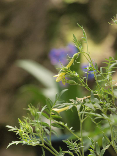 P7028322