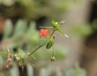 P7028323