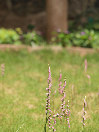 P7028324