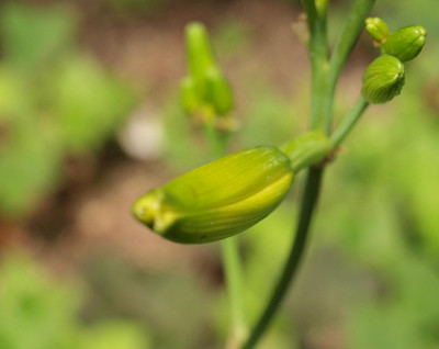 P7038333