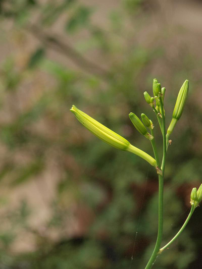 P7038359