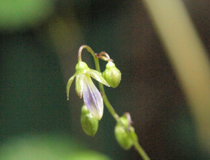 P7048395